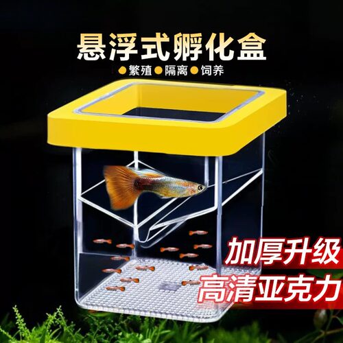 鱼缸繁殖隔离器悬浮式母鱼孵化器孔雀鱼凤尾鱼繁殖盒固定方形