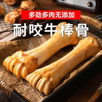 狗狗磨牙玩具狗子磨牙棒小狗耐咬牛骨棒大骨头幼犬专用牛筋狗用品