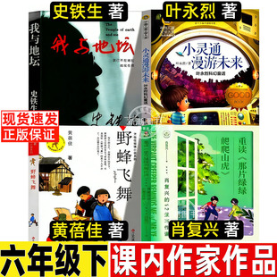 我与地坛史铁生著小灵通漫游未来叶永烈著野蜂飞舞黄蓓佳著重读那片绿绿的爬山虎肖复兴著六年级下册必读的课外书课内作家作品系列