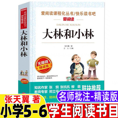 大林和小林五年级六年级文学类推荐目录正版张天翼原著小学生三四年级青少年立人编天地出版社彩图美绘名师导读带批注无障碍阅读
