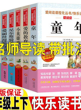 童年爱的教育小英雄雨来鲁滨逊漂流记汤姆索亚历险记爱丽丝漫游奇境记六年级上下册必读的课外书名师导读带批注精读版天地出版社