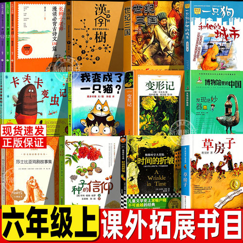 正版保证 六年级课外书