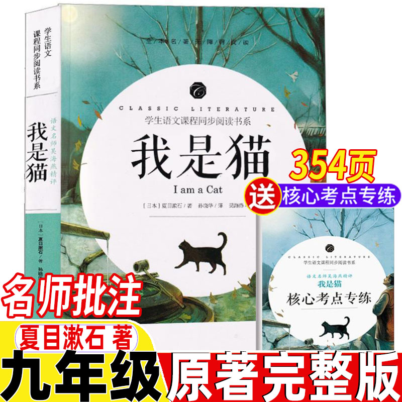 名师导读 带批注 读后感 考点 正版保证