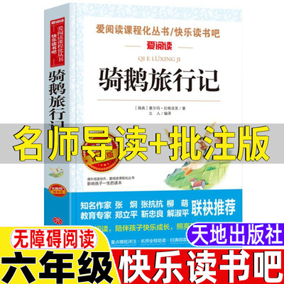 名师导读带批注读后感天地出版社