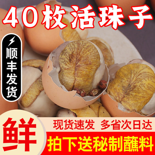 10万+人付款顺丰送货大鸡蛋红壳