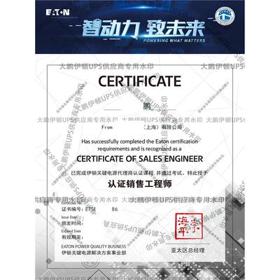 UPS不间断电源9SX700/1IR