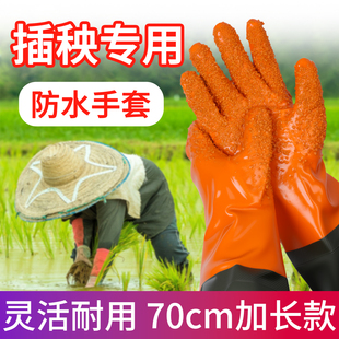 下水田插秧专用手套女士水稻栽秧防水加长款干活加厚耐用橡胶手套