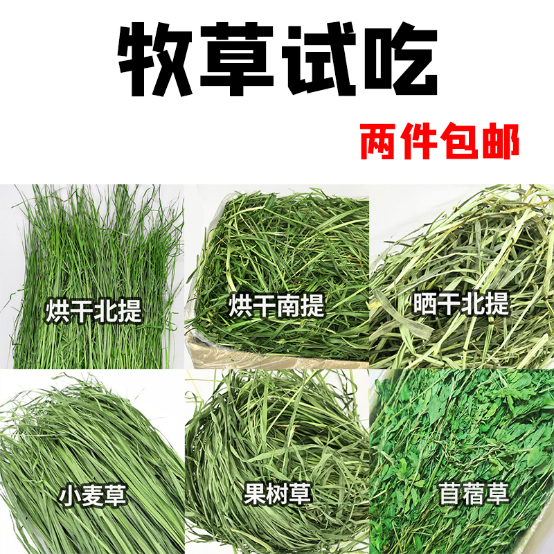 牧草试吃兔子龙猫干草主粮