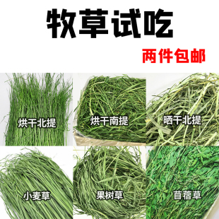 兔子试吃牧草提摩西草南提北提干草龙猫果树草燕麦草黑麦草50g