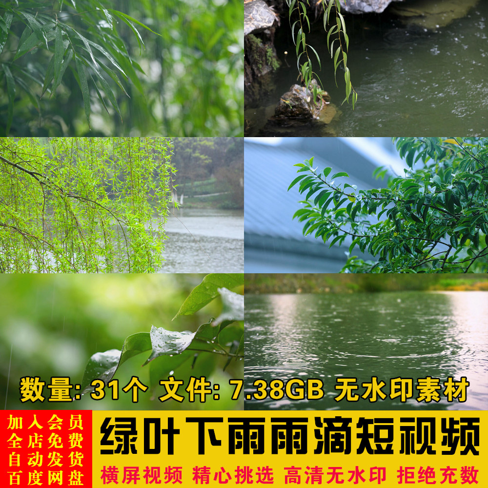高清混剪春雨下雨雨滴树叶春季绿叶雨滴特写抖音转场剪辑视频素材