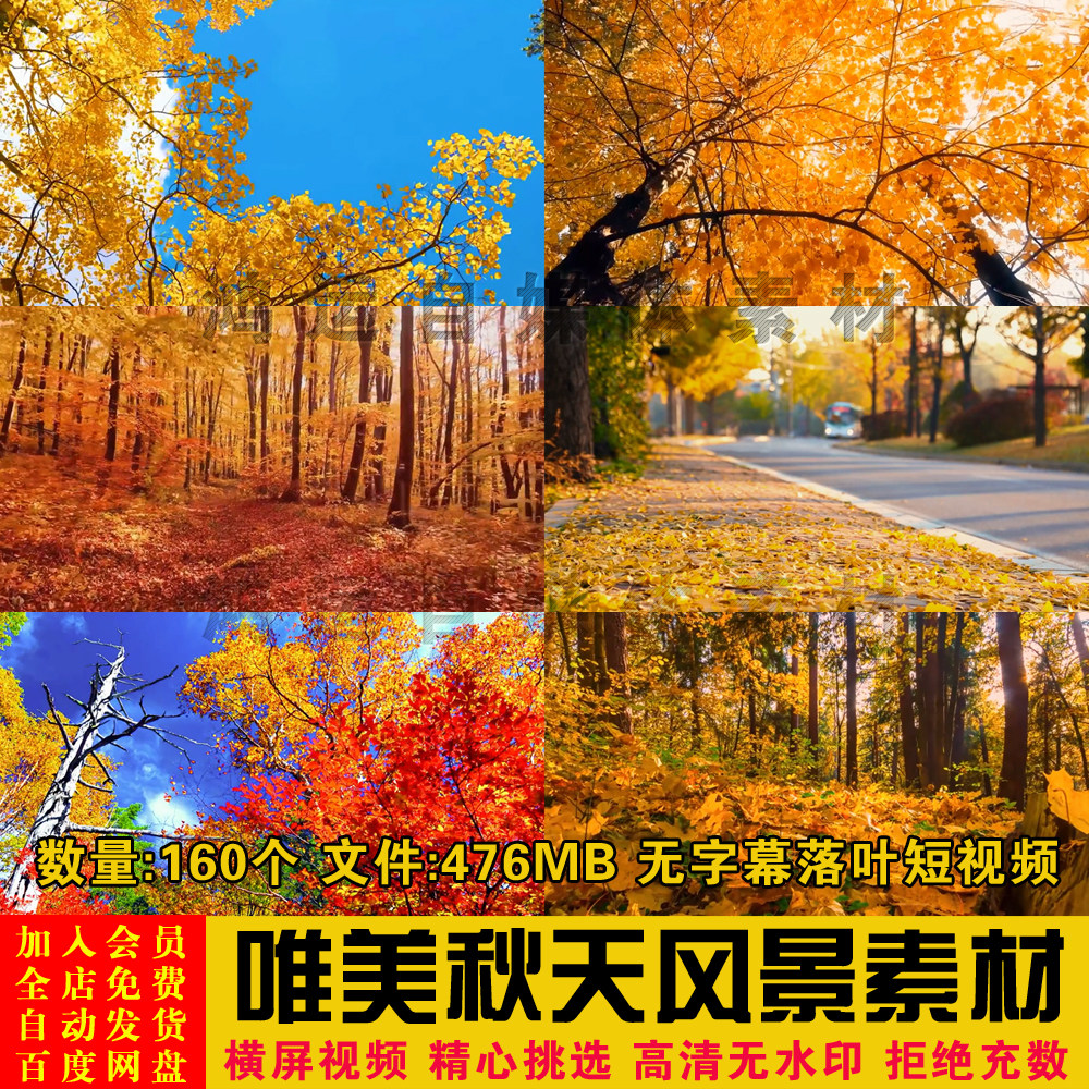 vlog唯美秋天季节落叶风景情感无字幕高清短视频背景制作剪辑素材