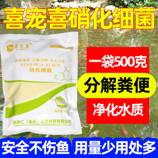 喜宠喜硝化细菌鱼池塘鱼缸用养殖净化水质净水稳定剂消化细菌清澈