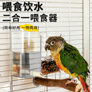 鹦鹉撞针水壶防溅撒一体新款鸟食盒虎皮牡丹小太阳自动喂食饮水器