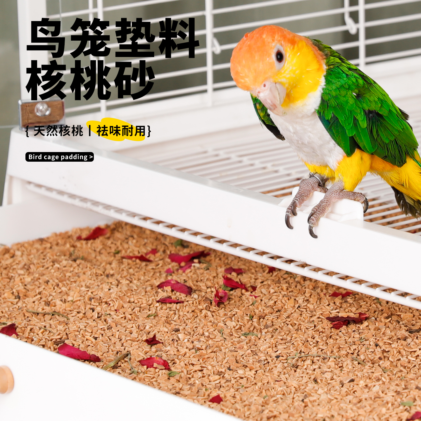 鹦鹉粪便垫料核桃砂除臭增香祛味