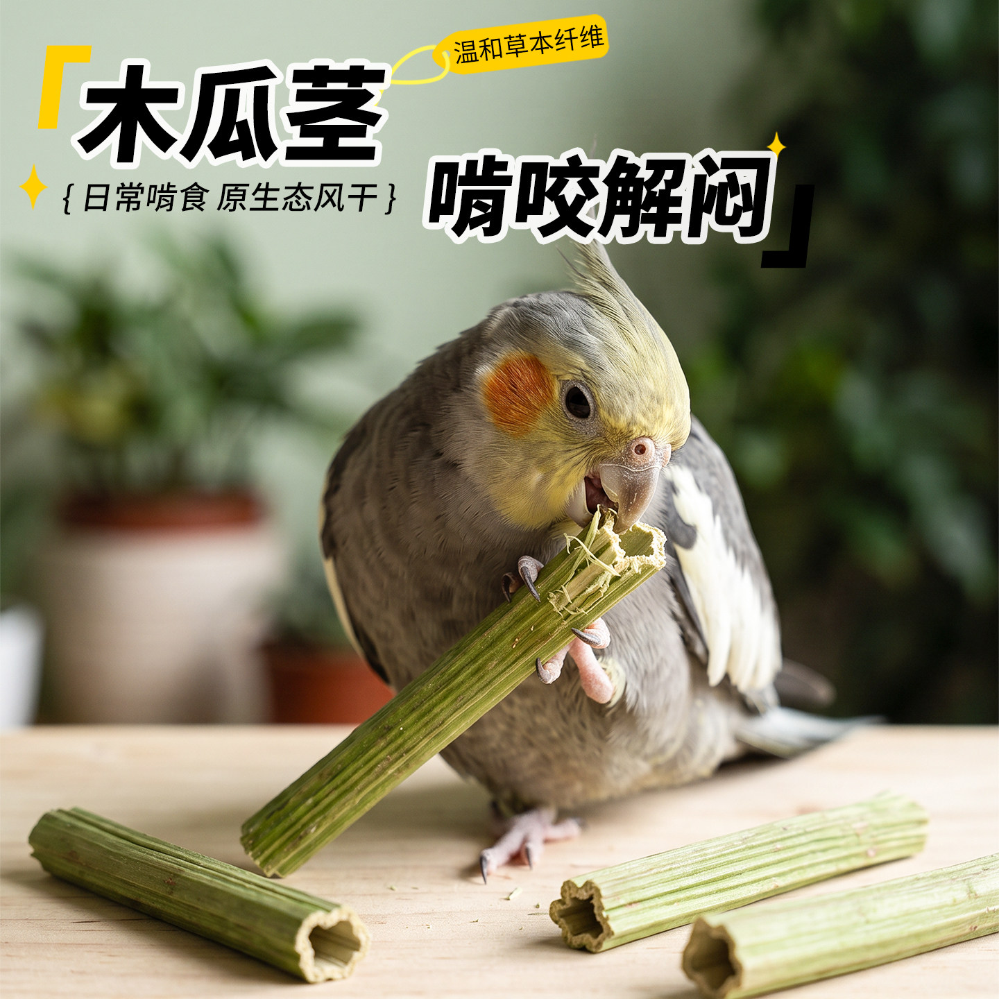 高能鹦鹉天然木瓜茎磨牙解闷玩具图片