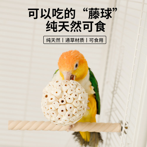 高能鹦鹉通草藤球陪伴玩耍解闷