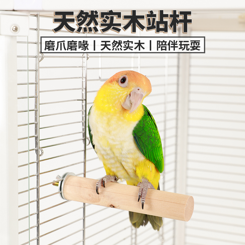 高能鹦鹉站杆天然原木磨爪磨喙