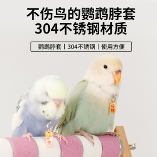 鹦鹉不锈钢脖套训练脖圈遛鸟放飞八哥脚链玄凤牡丹栓鸟链子绳子