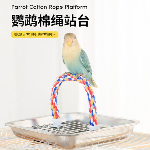 高能鹦鹉方便训鸟神器磨爪磨喙