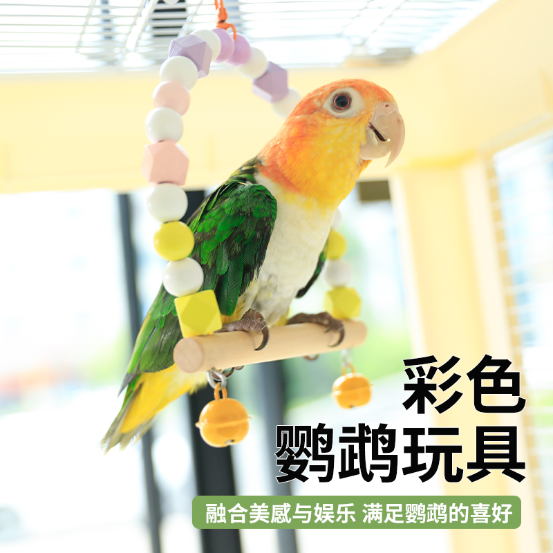 高能鹦鹉彩虹秋千陪伴玩耍