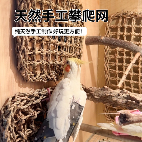 高能鹦鹉鹦鹉攀爬网啃咬玩具磨牙