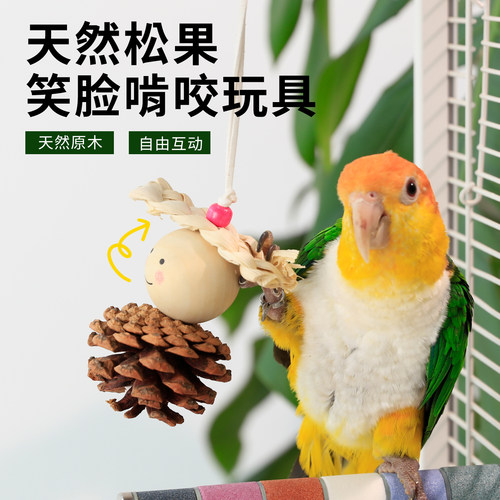 鹦鹉松果解闷自嗨啃咬小鸟玩具