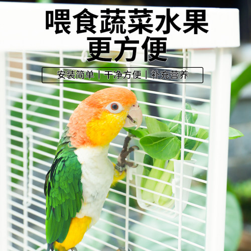 高能鹦鹉水果喂食器方便好用