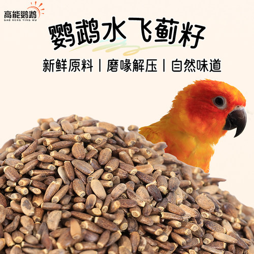 鹦鹉带壳奶蓟籽护肝奖励零食饲料