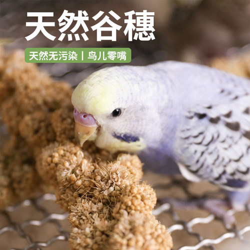 鹦鹉天然谷穗小鸟零食断奶推荐