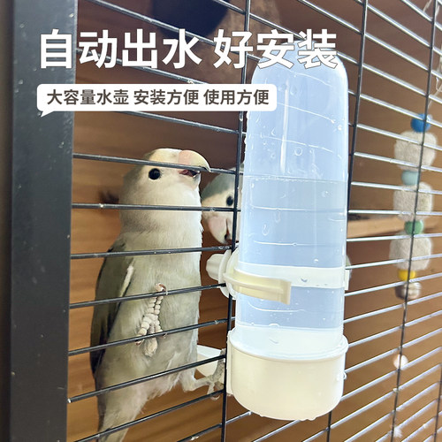 高能鹦鹉饮水器再笨的鸟，都会用