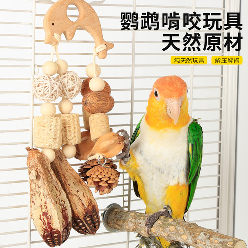 高能鹦鹉啃咬玩具解闷陪伴玩耍