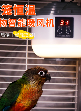 鹦鹉专用保温灯自动温控宠物加热暖风机智能恒温小太阳鸟过冬神器