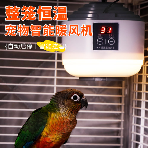 高能鹦鹉智能恒温风暖灯过冬专用