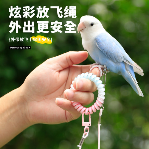 高能鹦鹉牵引绳放飞绳超轻不伤脚