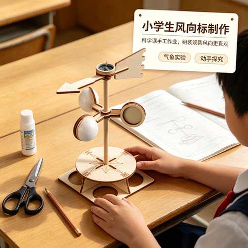 风力风向计风速仪风向观察标