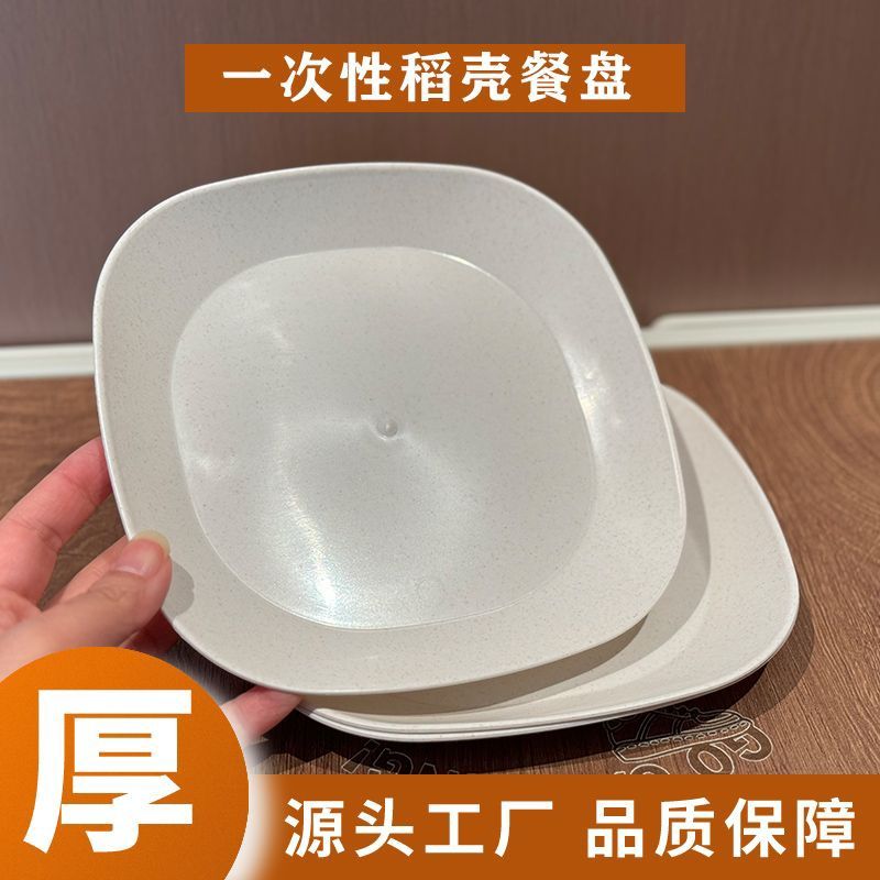 一次性菜盘餐盘环保健康耐高温加厚无毒户外烧烤聚餐家用商用餐具