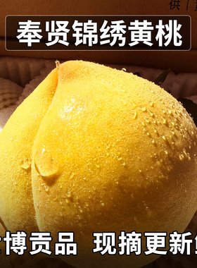 顺丰现货上海奉贤锦绣黄桃纯甜