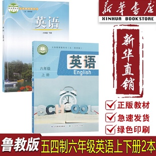 英语54制教材教科书山东教育出版 2025适用五四制初中六年级上下册鲁教版 六6年级英语书上下册全套英语课本鲁教版 新华书店正版