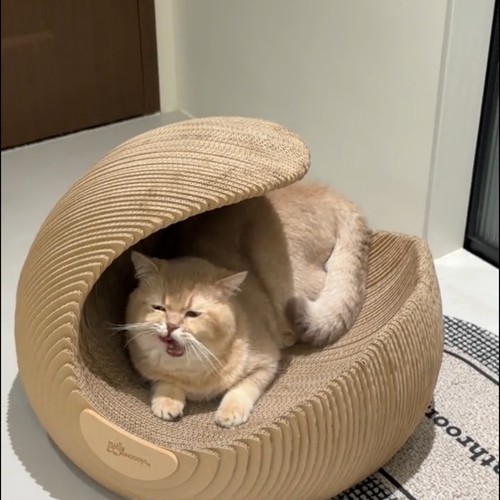现货芙拉菲安境猫窝猫抓板