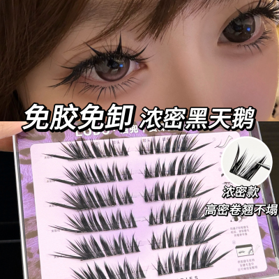 洛兜浓密上镜漫画眼尾