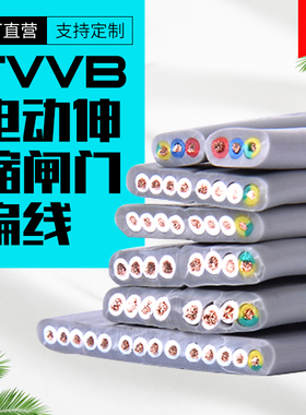 TVVB扁平电缆3 4 5 6 8芯扁平电梯电缆 电动伸缩门电缆 随行电缆