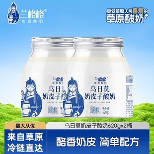 内蒙兰格格乌日莫奶皮子酸奶620g 生鲜草原低温酸牛奶 2大桶装