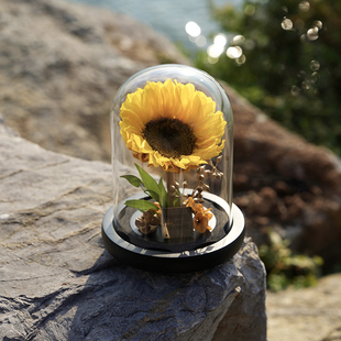 进口永生向日葵玻璃罩摆件真花永生花生日礼物礼盒送爱人朋友长辈