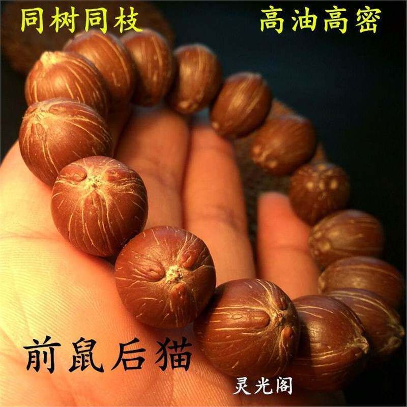 前鼠后猫招财鼠菩提子原籽紫金鼠菩提佛珠手串文玩佛珠手链男女