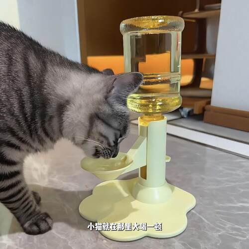 宠物饮水器家用不插电自动猫咪喝水神器增高护颈防打翻猫咪饮水机