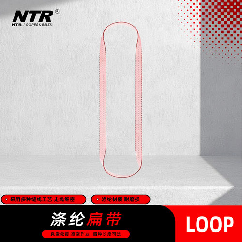 NTR/耐特尔涤纶扁带