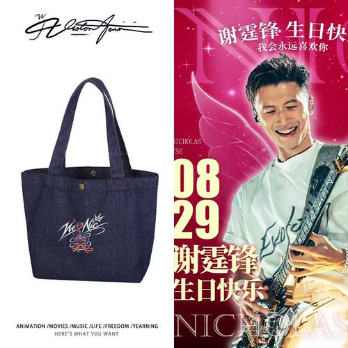 Evolution进化谢霆锋生日粉丝自制应援服定制DIY牛仔布包袋子单肩