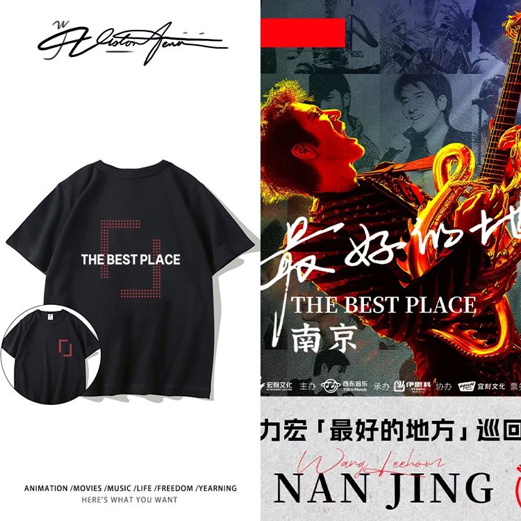 王力宏2025演唱会南京站同款周边印花纯棉短袖T恤男女同款宽松