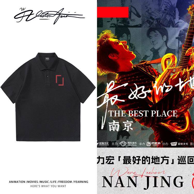 王力宏2025演唱会南京站同款周边印花POLO衫粉丝应援印花短袖