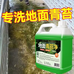 青苔清除剂水泥地面专用墙体去霉剂清洗液红砖青石板石头水池除藻